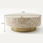 White Mother of Pearl Inlay Round Coffee Table with Brass Base