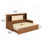 Teak Wood CloudLuxe 3-in-1 Sofa Cum Bed With Box Storage
