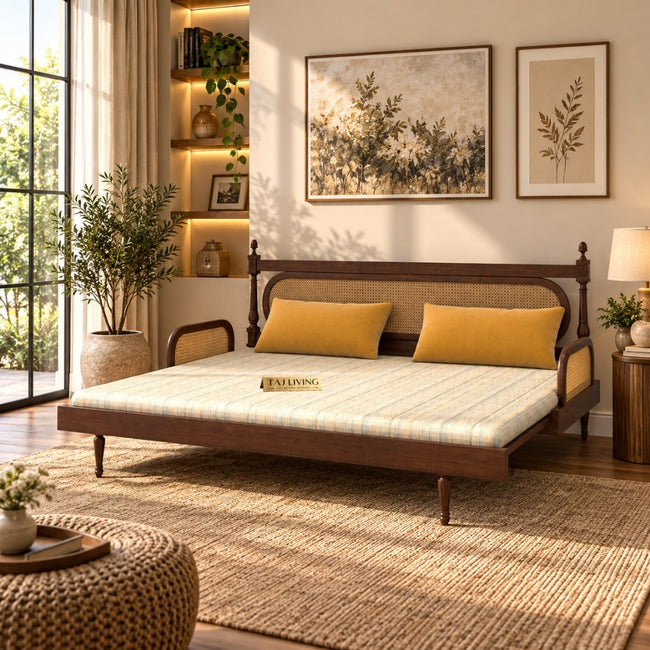 Cane-Style Day Bed with Cushioned Backrest for Indian Homes Main Image