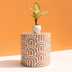 Handcrafted Bone Inlay Round Side / End Table