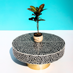 Rajwada Black and White Leaf Bone inlay Coffee Table