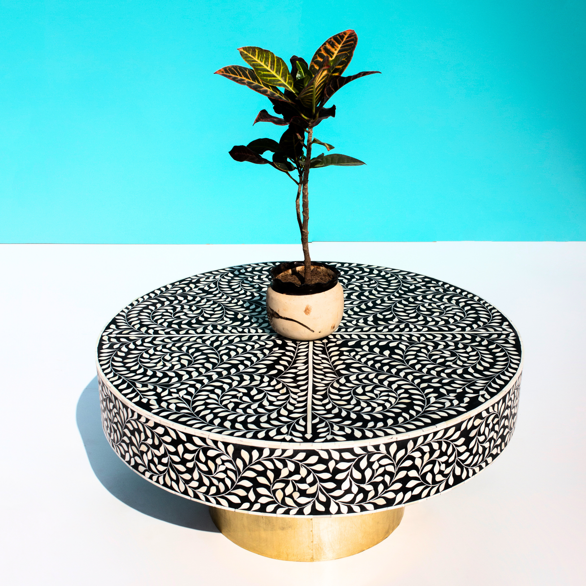 Rajwada Black and White Leaf Bone inlay Coffee Table