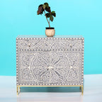 Prayagraj Floral Bone Inlay Cabinet with Gold-Finish Legs – 2 Door