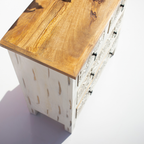 Sheeshmahal Hand-Carved Floral Wooden Chest of Drawers