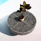 Rajwada Black and White Leaf Bone inlay Coffee Table