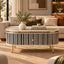Bone Inlay Black & White Oval 2-Drawer Coffee Table