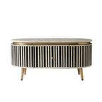Bone Inlay Black & White Oval 2-Drawer Coffee Table